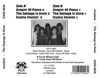 Image 8 of Assalant - The Damage Is Done 