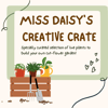 Miss Daisy's Creative Crate