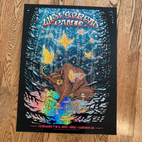 Image 5 of Widespread Panic Durham 2023 poster