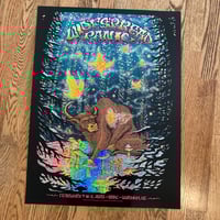 Image 5 of Widespread Panic Durham 2023 poster