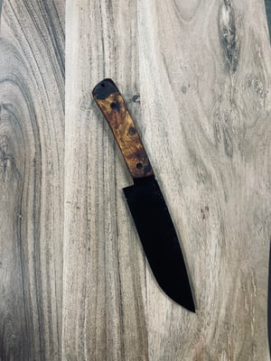 Image of Prairie fighter 