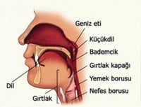 Geniz Eti Tedavisi