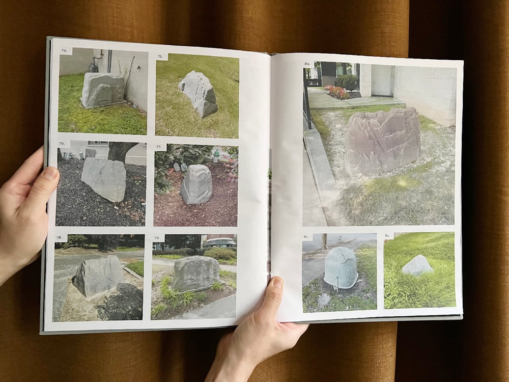 Image of Fake rocks — Friends? A Geological Study of (Ltd Ed.)<br /> —Dante Fewster Holdsworth