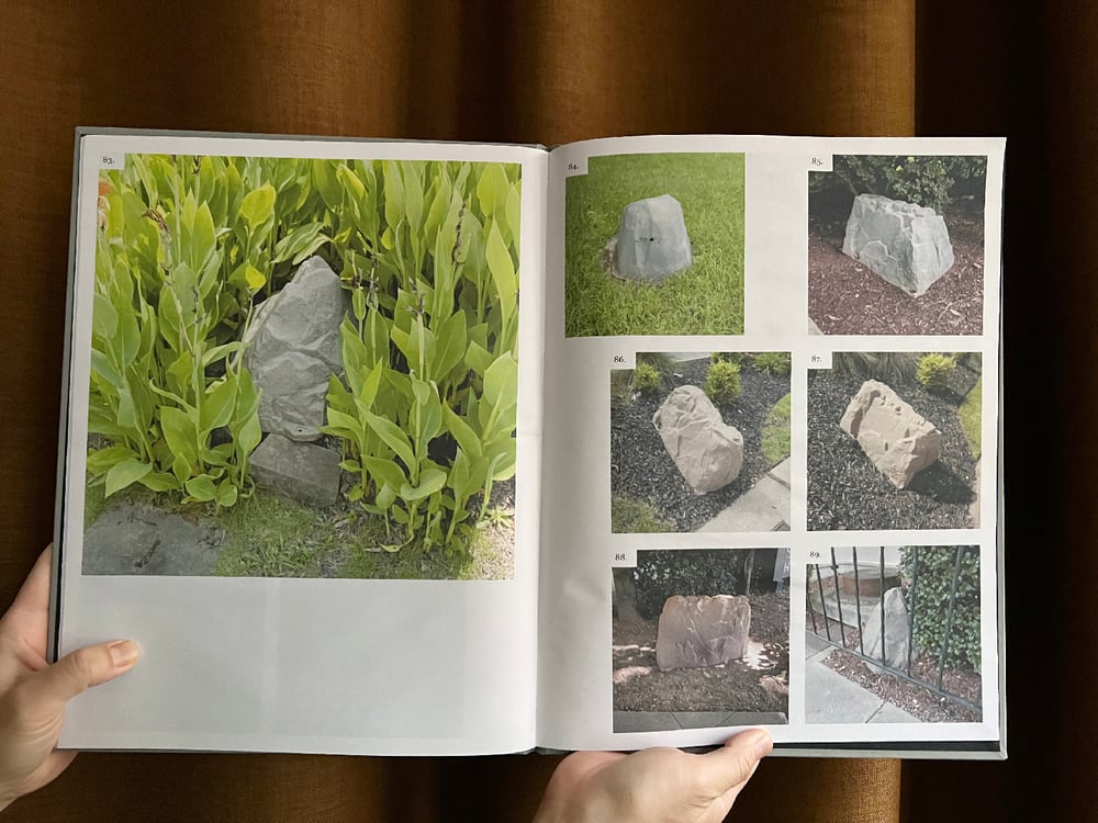 Image of Fake rocks — Friends? A Geological Study of (Ltd Ed.)<br /> —Dante Fewster Holdsworth