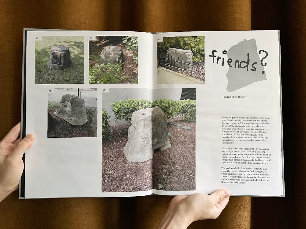 Image of Fake rocks —Friends? A Geological Study of <br /> —Dante Fewster Holdsworth