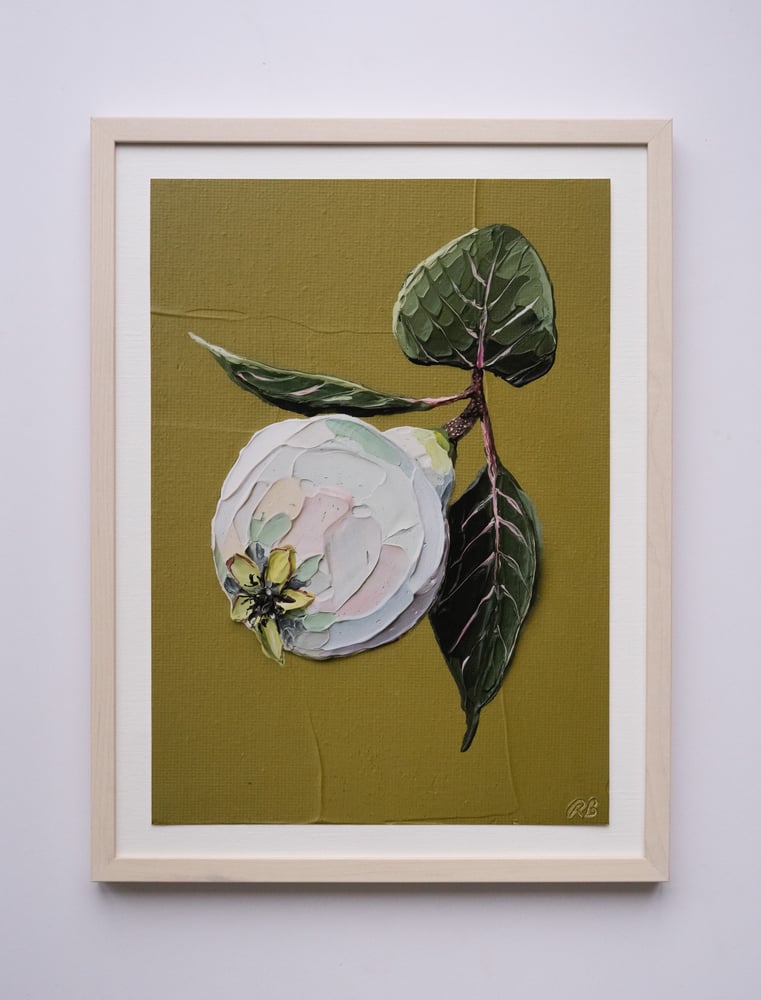 Image of QUINCE - GICLÉE PRINT