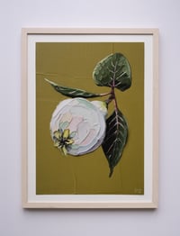 Image 4 of QUINCE - GICLÉE PRINT