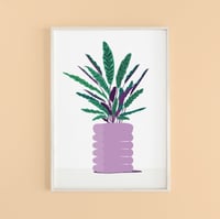 A4 Calathea House Plant Print