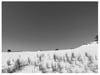 Dunes 9x12 Photo Print