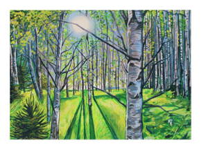 Image of Light On White Birch Print