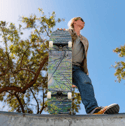 Light On White Birch Skateboard