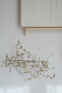 Image 5 of Branche de feuilles beige 