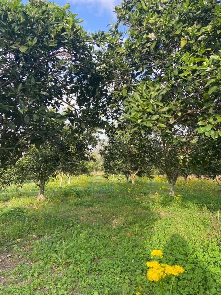 Image of Spring Sessions