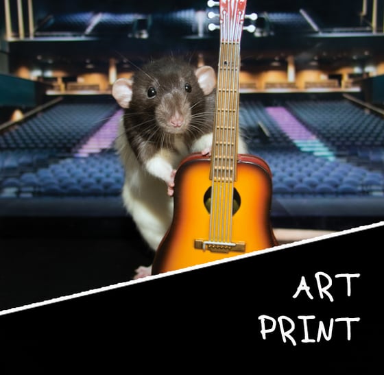 Image of Chip Live at Carnegie Hall -  Art Print