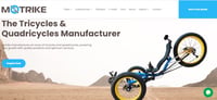How to Custom Trike?