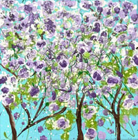 Image 1 of Purple Blossom Trees 