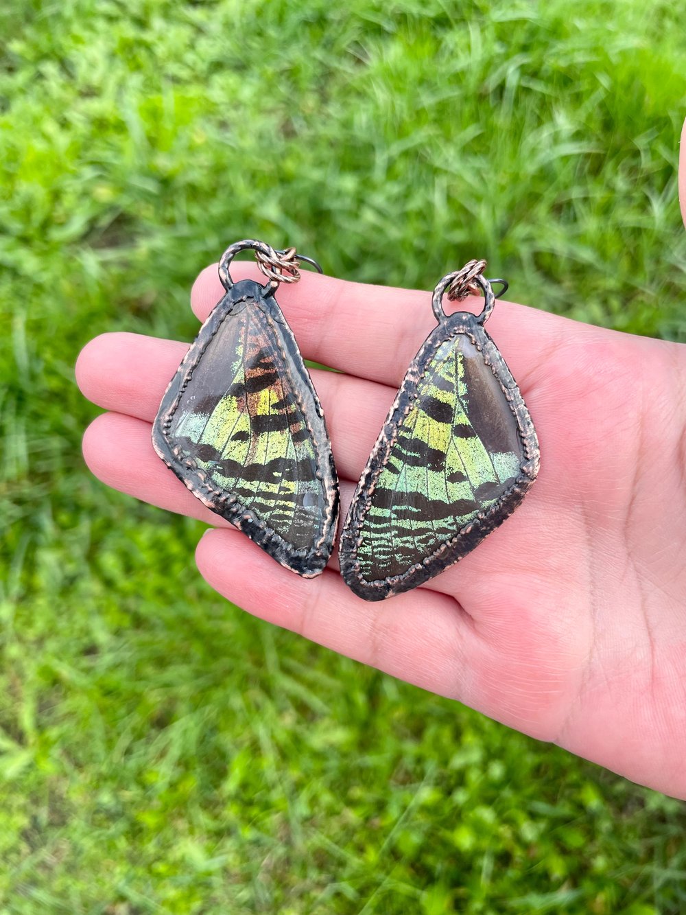 Real Butterfly Wing Earrings 