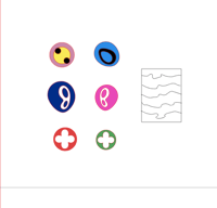 Image 1 of murakami shapes