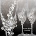 Image of Pearl Bud Silver Flutes and Goblets Set