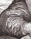 Large Limited Edition of 49 Mona Lisa, A2 (59.4cm x 42cm)