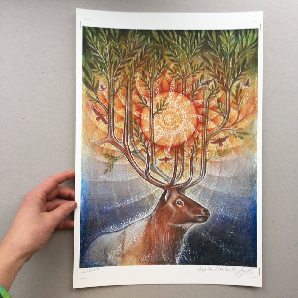 Image of DEER A3 giclee archyval print