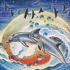 Image of DOLPHINS A3 giclee archyval print