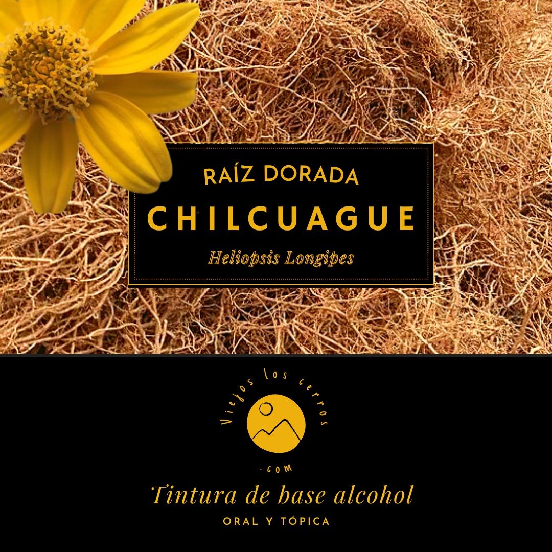 Image of Chilcuague