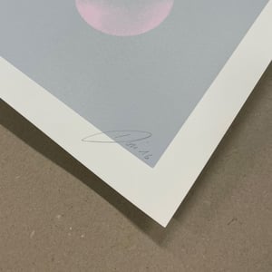Image of "Spot Remover" Grey Edition Screen Print Artist Proof