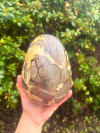 Image 2 of 7.1 lb septarian “dragon” egg 
