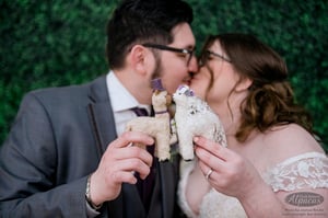 Alpaca Bride + Groom Wedding Cake Topper - Customized for Llama Lovers - Made with Alpaca Fiber