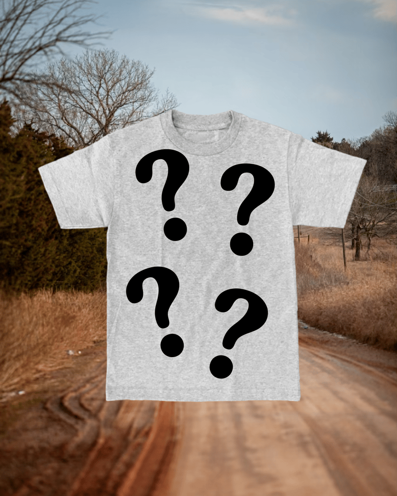 Image of MYSTERY BOOTLEG MIDSOUTH T-SHIRT