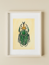 Image 6 of Mecynorhina Beetle LIMITED EDITION PRINT 