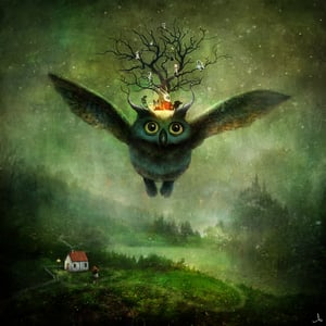 Ninox the owl and his magic tree - Alexander Jansson Shop