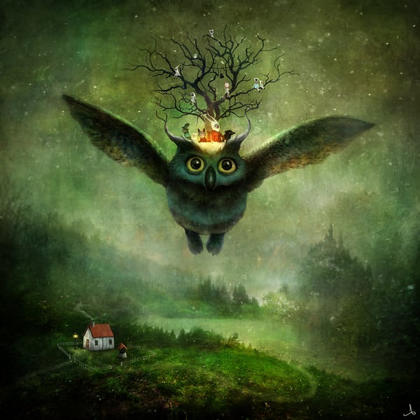 Ninox the owl and his magic tree - Alexander Jansson Shop