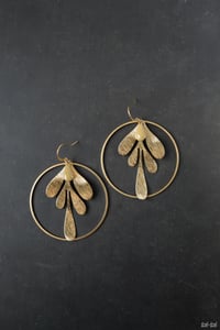 Image 2 of Boucles "Awá"