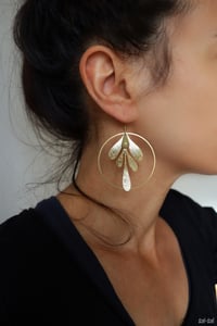 Image 4 of Boucles "Awá"