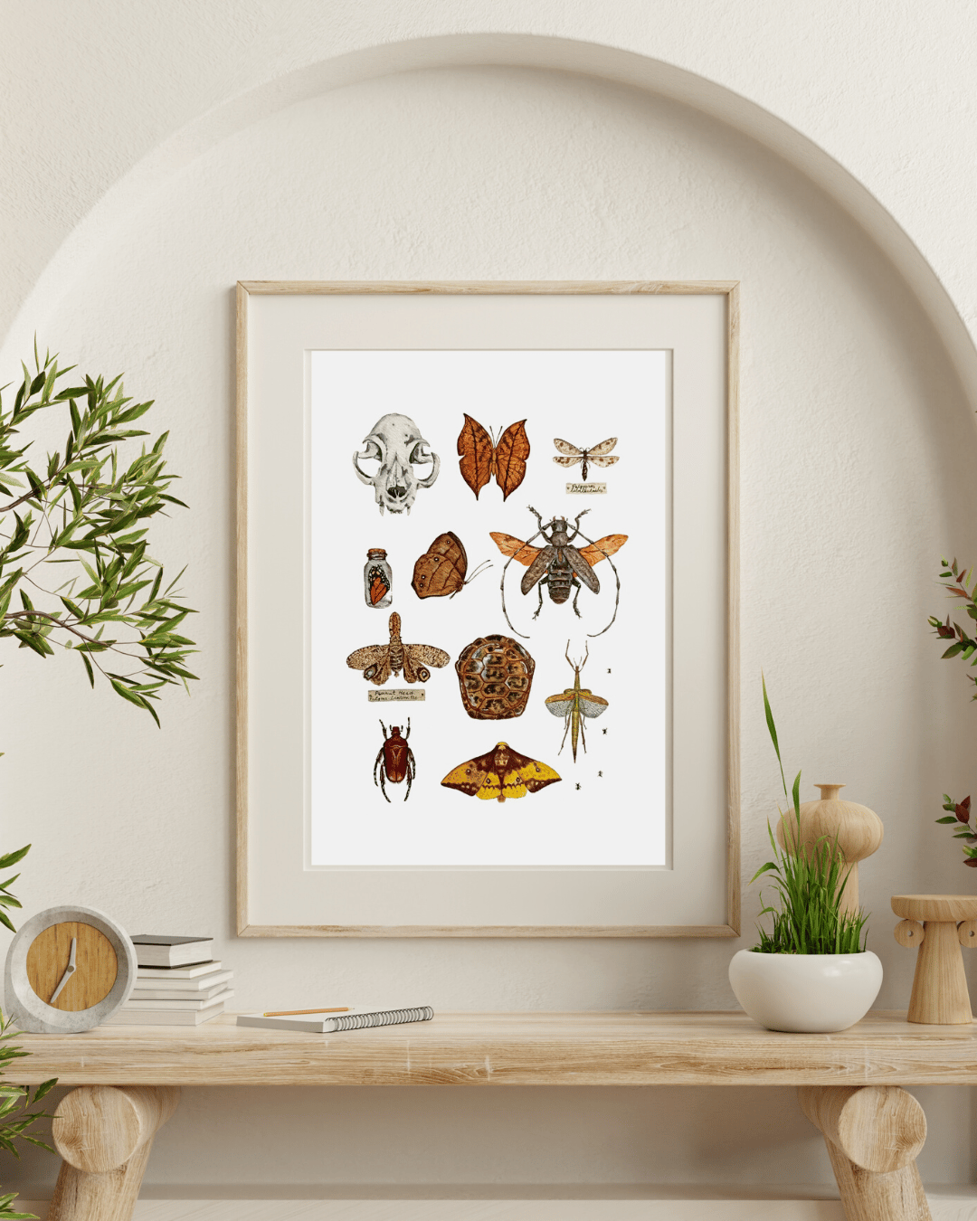 Image of Cabinet of Curiosities watercolor illustration PRINTS