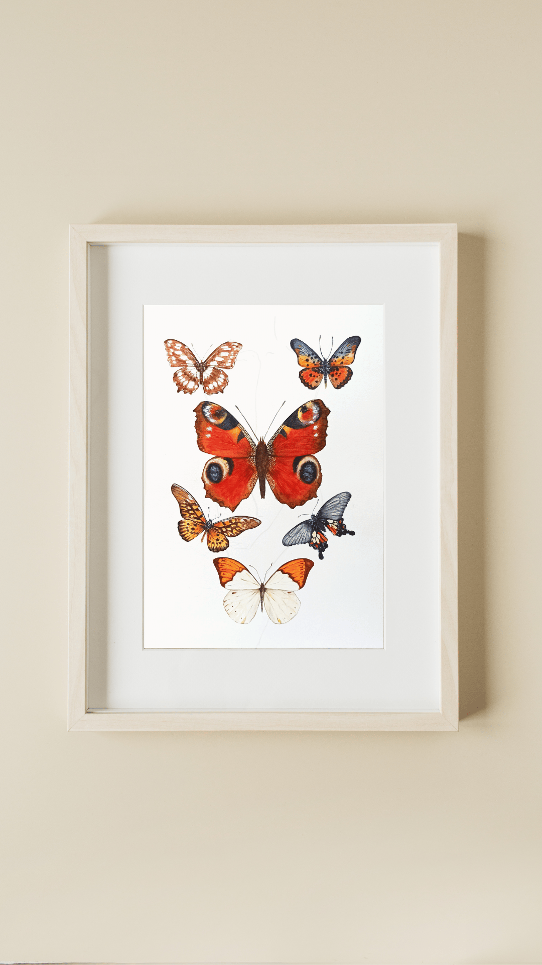 Image of Butterfly Study Watercolor Illustration PRINT 