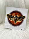 5"x5" Insect Prints (5 options) B
