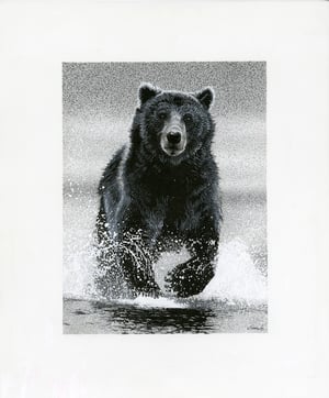 Image of BEAR IN WATER ink original
