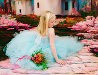 Image 4 of Fairy Princess Sessions