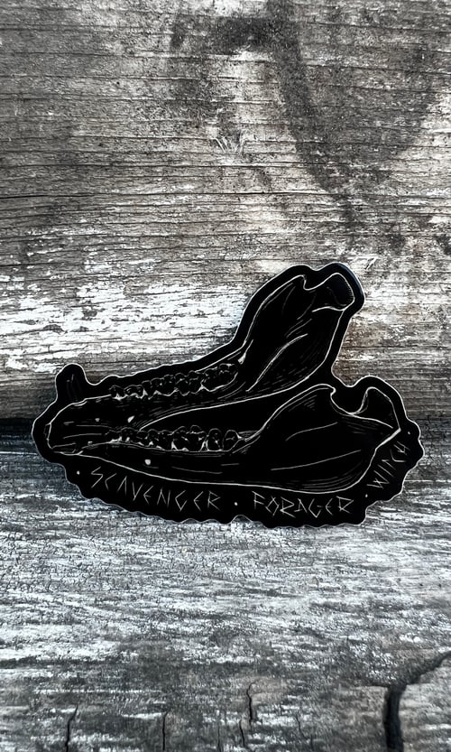 Image of JAWBONE SCAVENGER - FORAGER - WITCH STICKER