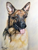 Image 3 of Pet Portraits