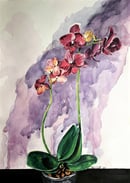 Image 1 of Originals and Customs