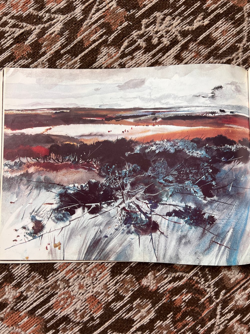 1973 The Art of Andrew Wyeth Paperback Book