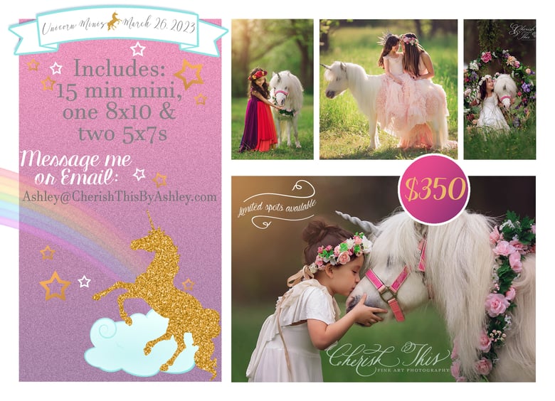 Image of Unicorn Minis- March 26,2023- Retainer fee only, Balance of $200 due at session!