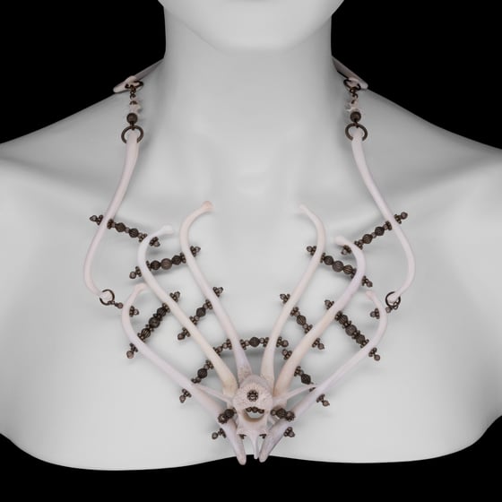 Image of "Trevien" Raccoon Baculum Bone Necklace