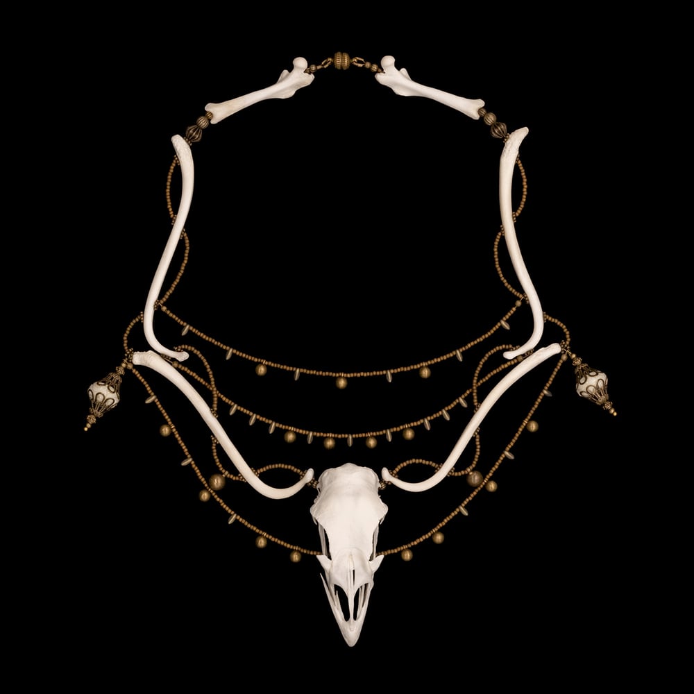 Image of "Yvie" Chicken Skull and Raccoon Baculum Bone Necklace