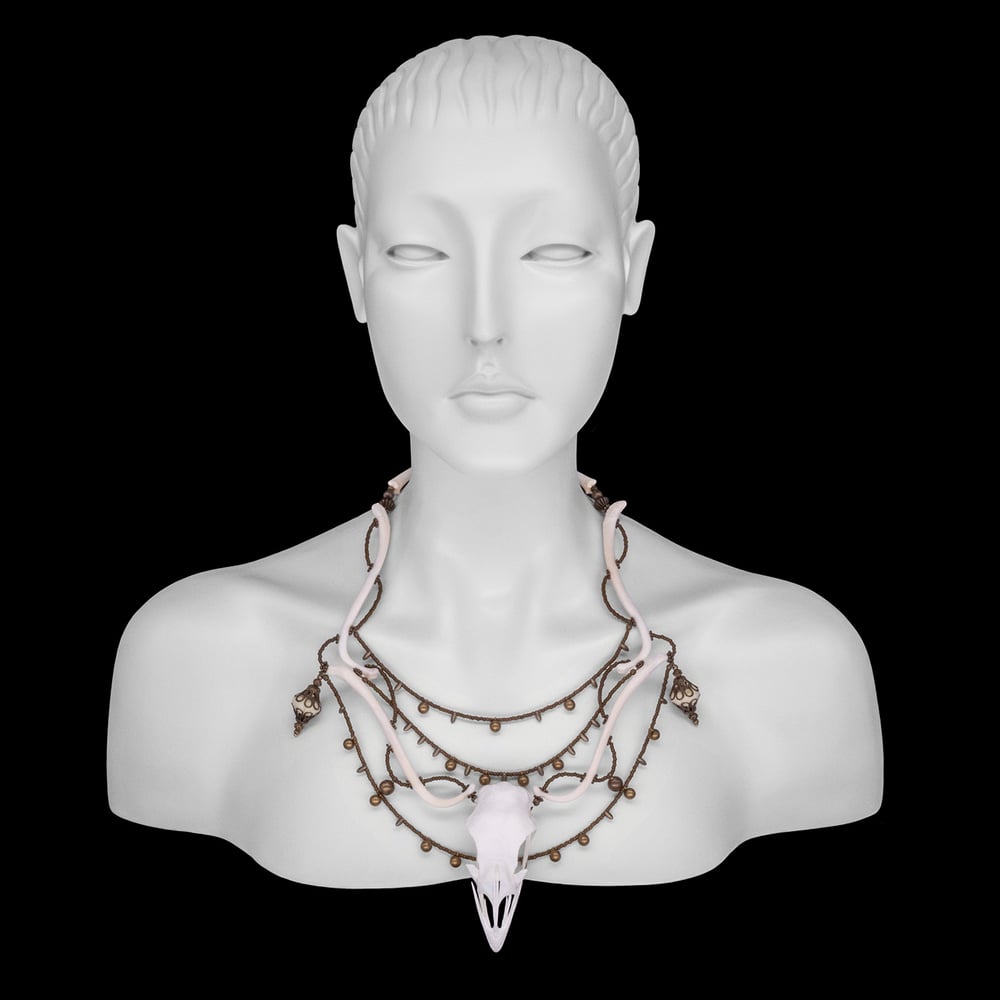 Image of "Yvie" Chicken Skull and Raccoon Baculum Bone Necklace