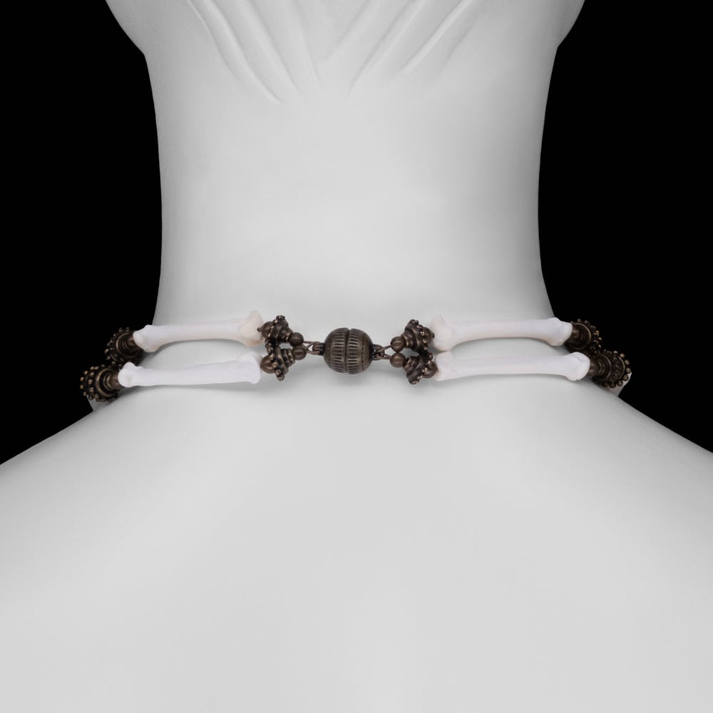 Image of "Gian" Dog Vertebrae and Pelvic Bone Necklace